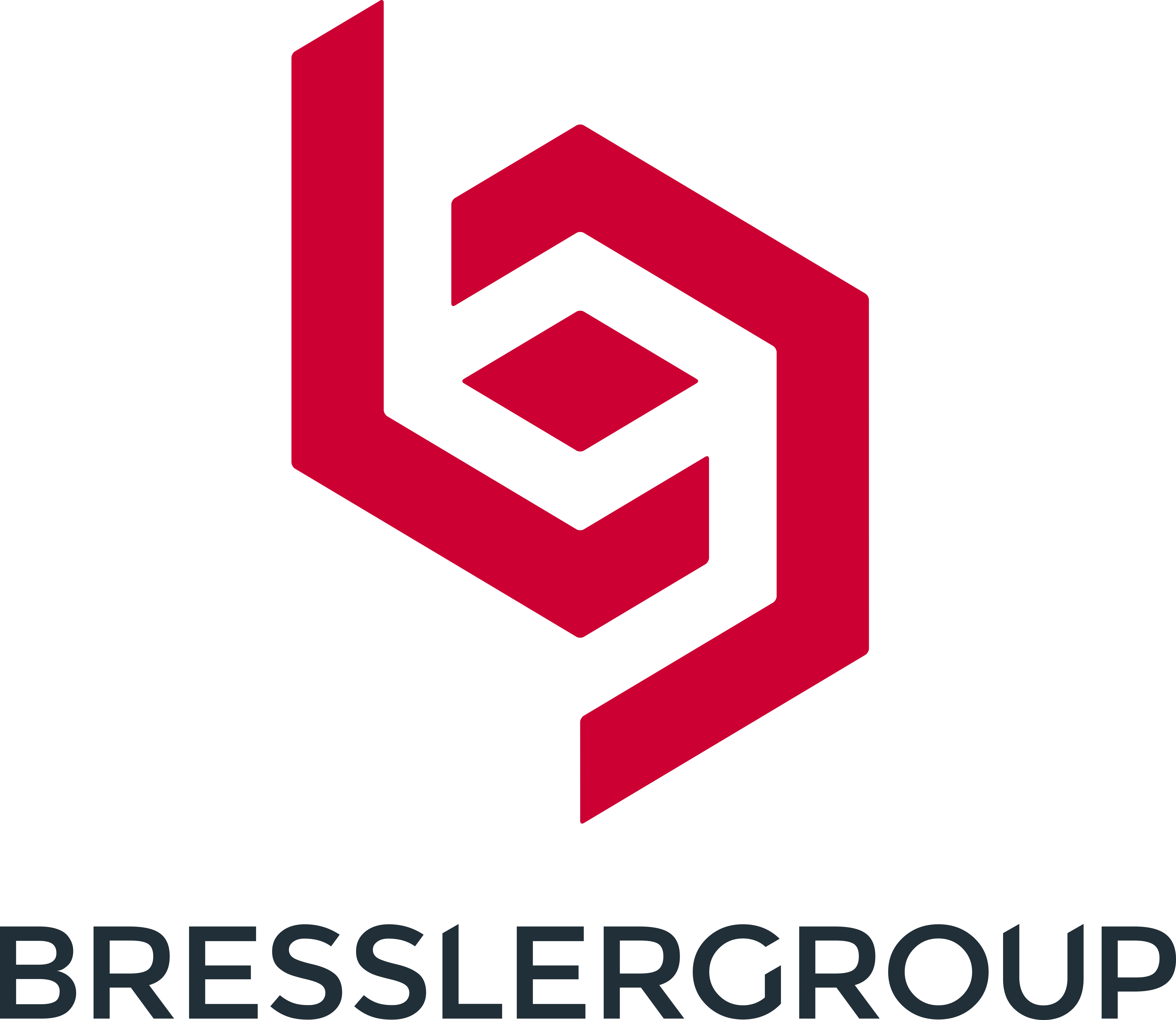 https://tsmedical-llc.com/wp-content/uploads/2022/03/Bressler_Group_Logo_full.png
